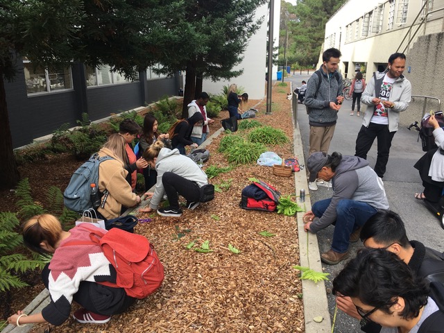 Group of People in planting plants