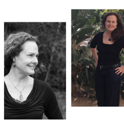 Collage of Student Alum Kathryn Machi
